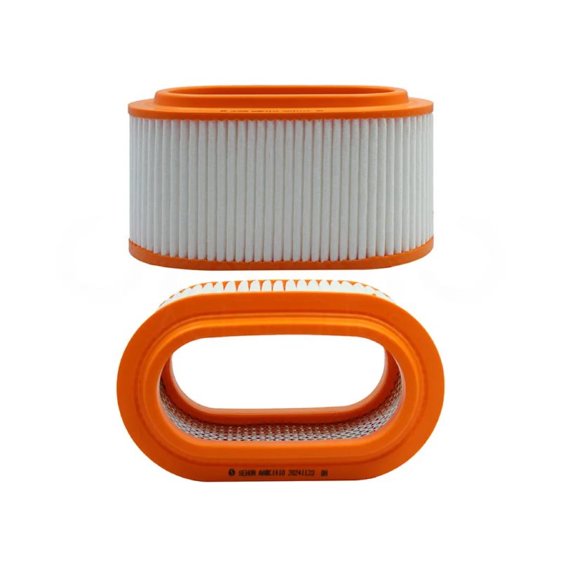 Filtro de aire D4BH (Jac X200 2.0L 2020-2024)