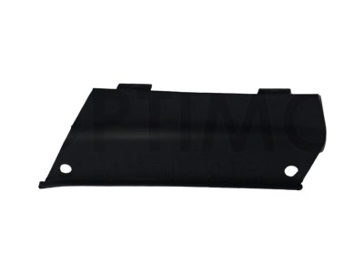 Cap plastico left of facia front lower