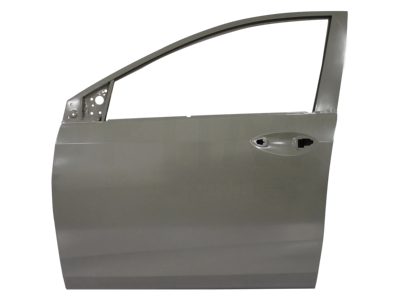 Puerta delantero izquierda (Color / gris)