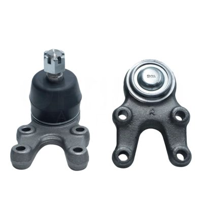 Right lower ball joint