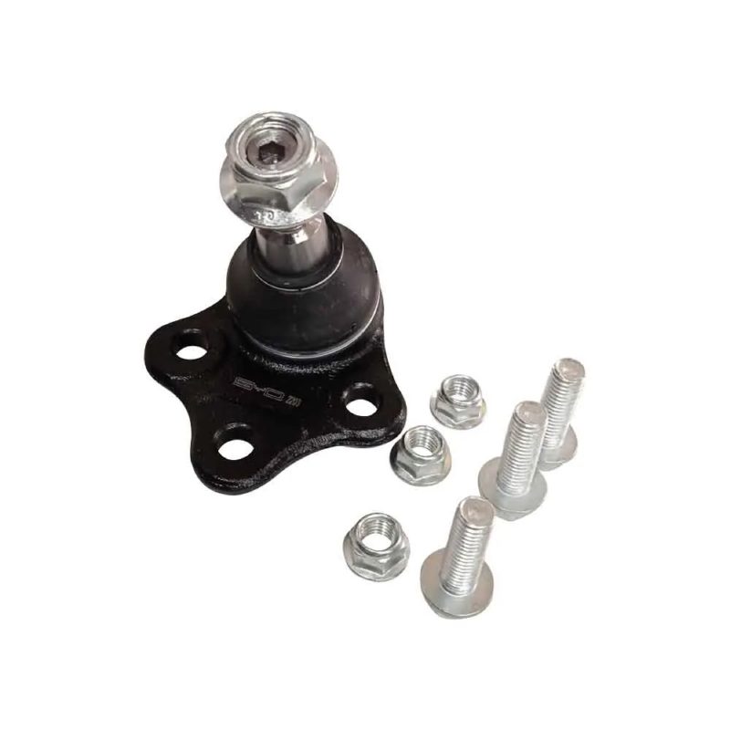 Lower ball joint