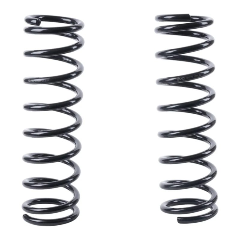 Rear coil spring