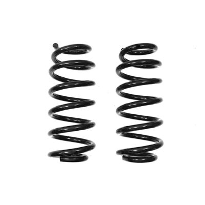 Rear coil spring