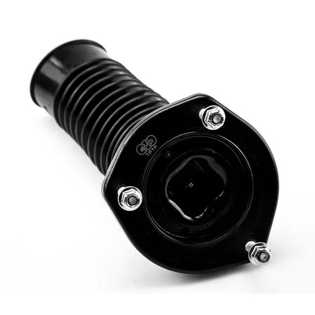 Rear left strut mount