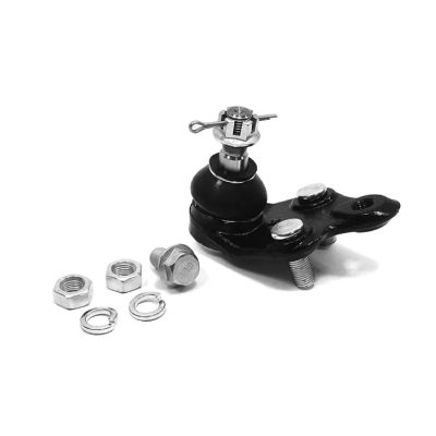 Right lower ball joint