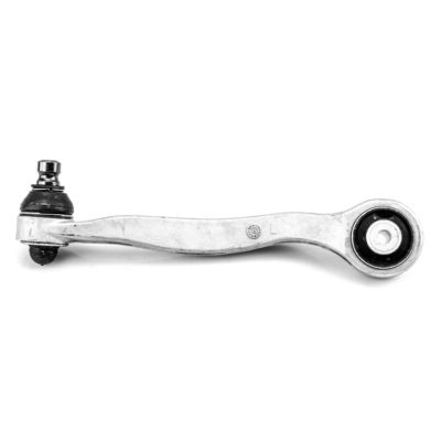 Brazo delantero superior anterior izquierdo